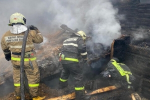 Пожар в Исакогорском округе ликвидирован, пострадавших нет