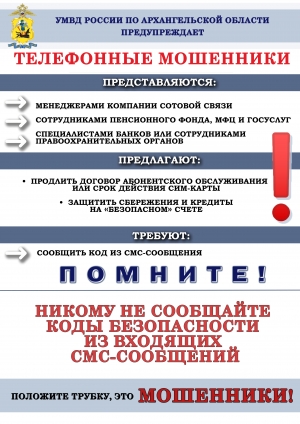 За прошедшие сутки 12 жителей Архангельской области передали мошенникам данные для входа в личные кабинеты на портале «Госуслуги»