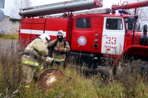 Коряжемские пожарные и спасатели отстояли несколько домов в дачном кооперативе «Строитель»