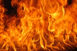 При пожаре в Плесецком районе погибли две женщины