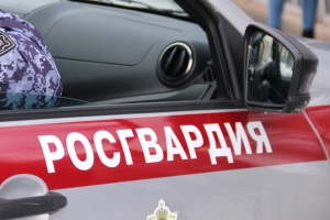 Архангельские росгвардейцы по горячим следам задержали напавших на женщину хулиганов