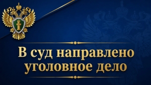 Передача доступа к банковским счетам закончилась уголовной ответственностью