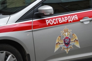В Северодвинске патруль Росгвардии задержал подозреваемых в совершении хищений