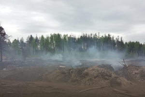 На окраине Няндомы пожар на свалке отходов лесопиления превысил 2000 кв. метров