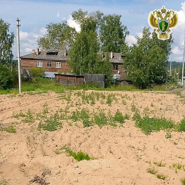 По административным искам прокурора Вилегодского района снесены аварийные дома, расселенные в рамках реализации национального проекта «Инфраструктура для жизни»