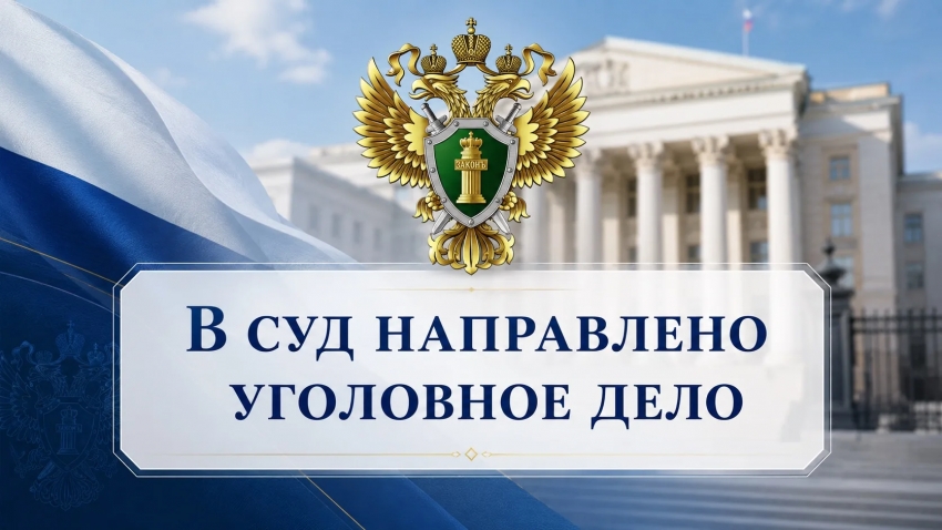 Уроженка Приморского муниципального округа предстанет перед судом за применение насилия в отношении представителя власти