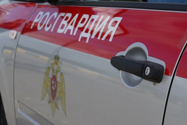 В Северодвинске наряд Росгвардии помог усмирить пьяную посетительницу бара