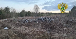 Органами прокуратуры выявлены нарушения законодательства о порядке обращения с отходами