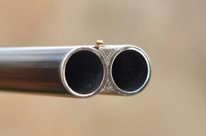 В Коряжме вынесен приговор по уголовному делу о сбыте патронов к огнестрельному оружию