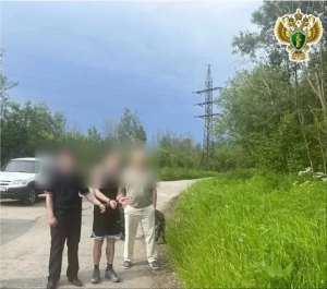 В Вельском округе вынесен приговор по уголовному делу о покушении на сбыт наркотиков в особо крупном размере