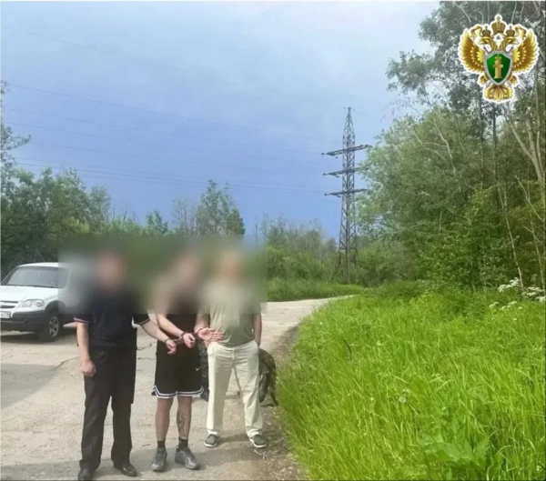 В Вельском округе вынесен приговор по уголовному делу о покушении на сбыт наркотиков в особо крупном размере